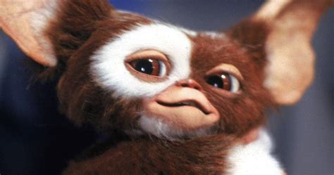 gremlins movie gizmo|gizmo turns into gremlin.